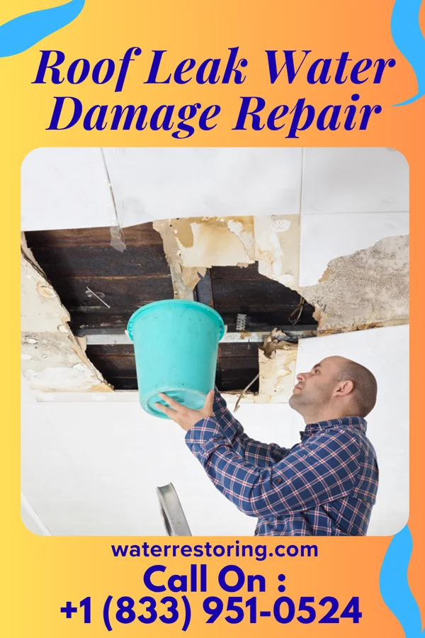 Roof Leak Water Damage Repair in Derby Center, VT